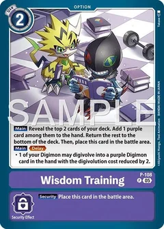 Wisdom Training (Reprint) P-108 P