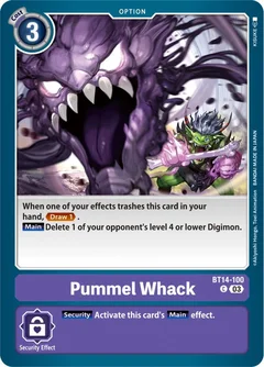 Pummel Whack BT14-100 C