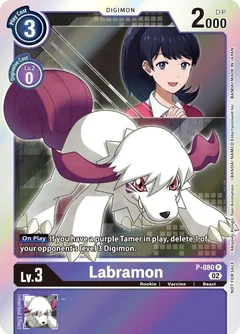 Labramon - P-080 P-080 P