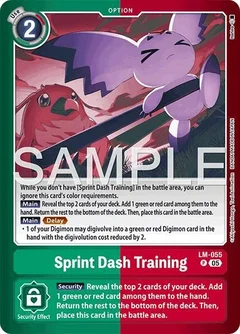 Sprint Dash Training LM-055 P