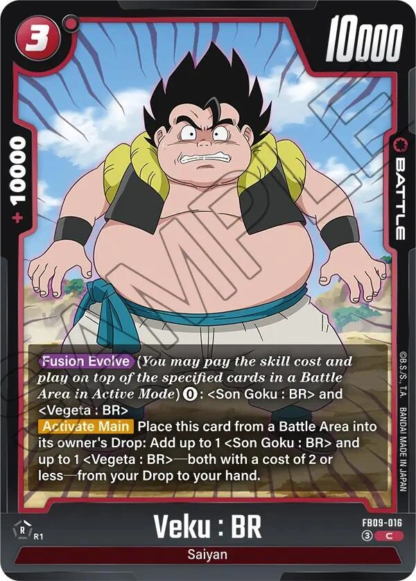 Veku : BR - FB09-016