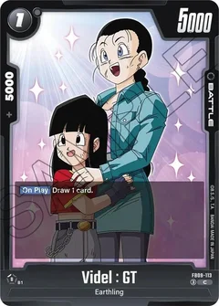 Videl : GT FB09-113