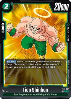 Tien Shinhan - FB05-057 FB05-057