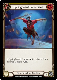Springboard Somersault IRA012
