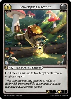 Scavenging Raccoon 090