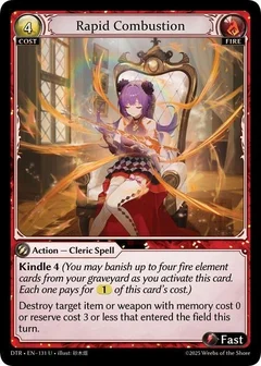 Rapid Combustion 131