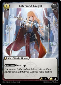Esteemed Knight 005