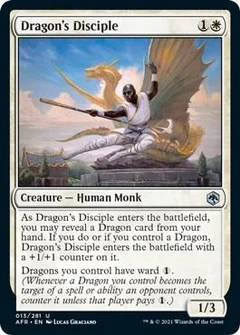 Dragon's Disciple 13