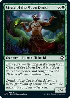 Circle of the Moon Druid 177