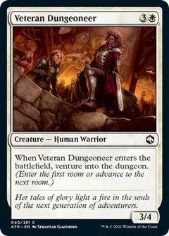 Veteran Dungeoneer 40