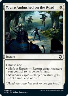 You're Ambushed on the Road 43
