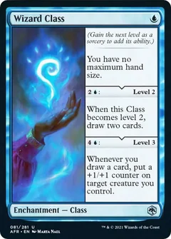 Wizard Class 81