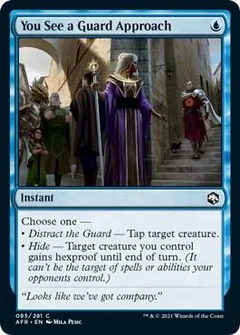 You See a Guard Approach 85