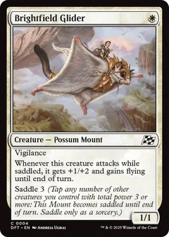 Brightfield Glider Foil 4