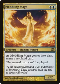 Meddling Mage Foil 8