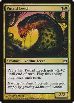 Putrid Leech 95