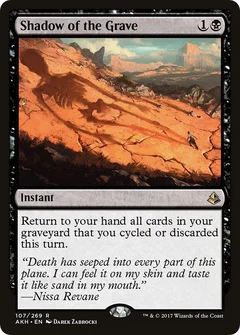 Shadow of the Grave 107