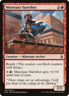 Minotaur Sureshot 143