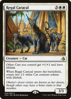 Regal Caracal Foil 24