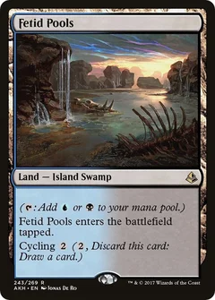 Fetid Pools Foil 243