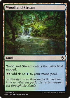 Woodland Stream 287
