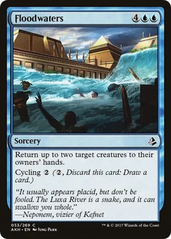 Floodwaters Foil 53