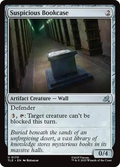 Suspicious Bookcase 170
