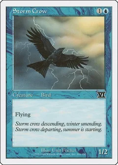 Storm Crow 101