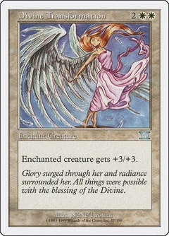 Divine Transformation 17