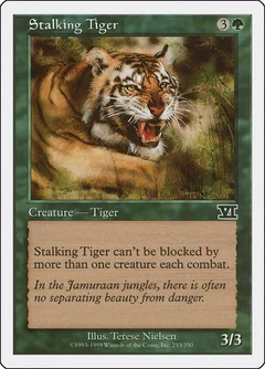 Stalking Tiger 253