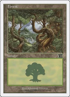 Forest (347) 347