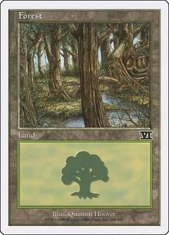 Forest (348) 348