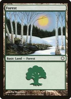 Forest (382) 382