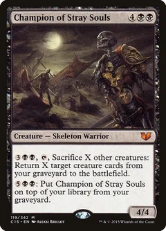 Champion of Stray Souls 119