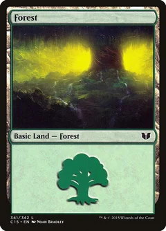 Forest (341) 341