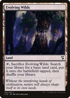 Evolving Wilds 245