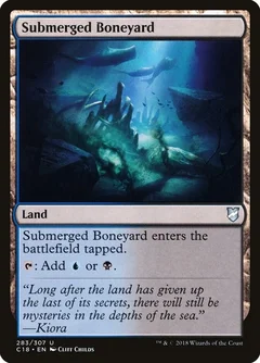 Submerged Boneyard 283