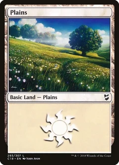 Plains (293) 293