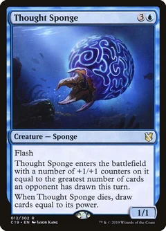 Thought Sponge 12