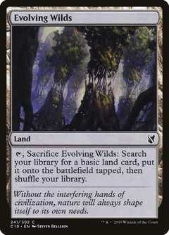 Evolving Wilds 241
