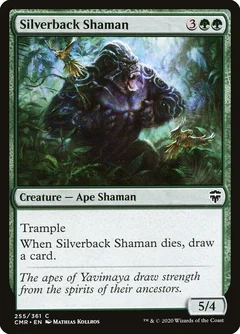 Silverback Shaman 255