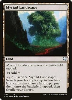 Myriad Landscape 487