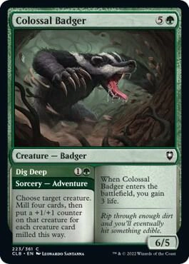 Colossal Badger Foil