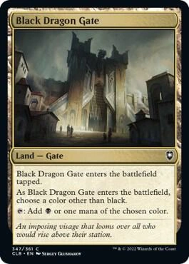 Black Dragon Gate Foil