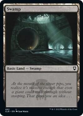 Swamp (462) Foil