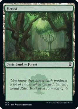 Forest (467) Foil