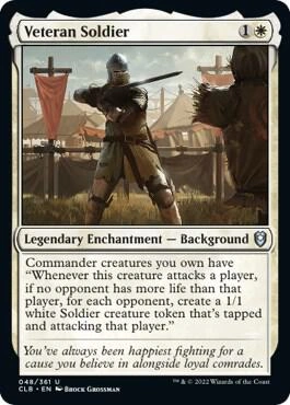 Veteran Soldier Foil
