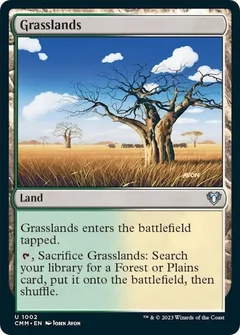 Grasslands 1002