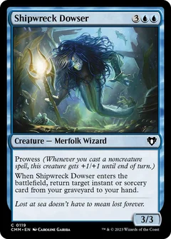 Shipwreck Dowser Foil 119