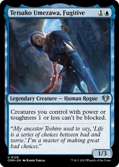 Tetsuko Umezawa, Fugitive Foil 126